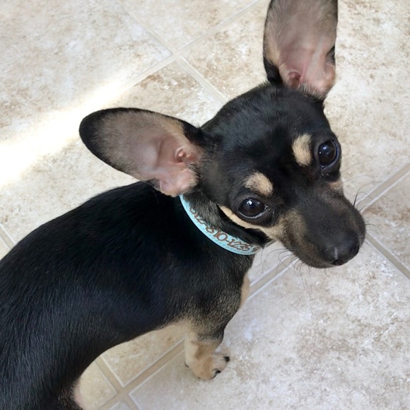 💕💚 Hi! I'm your Posher, Jess! 💚💕 - Picture 8 of 11